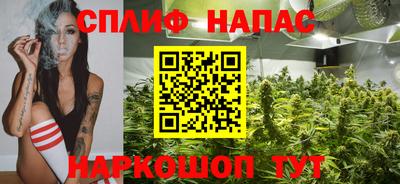 дурь Славгород