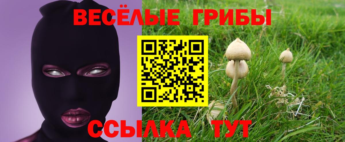 Новозыбков  Галлюциногенные грибы GOLDEN TEACHER  Вход с VPN 