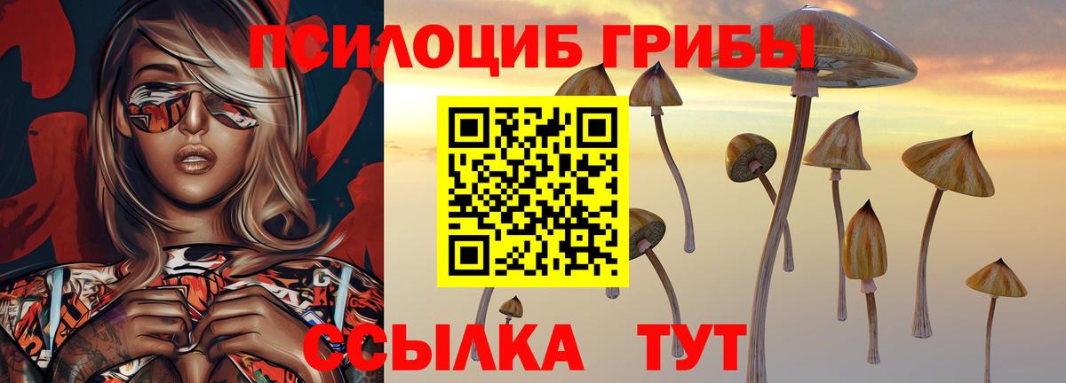 Галлюциногенные грибы прущие грибы Новозыбков